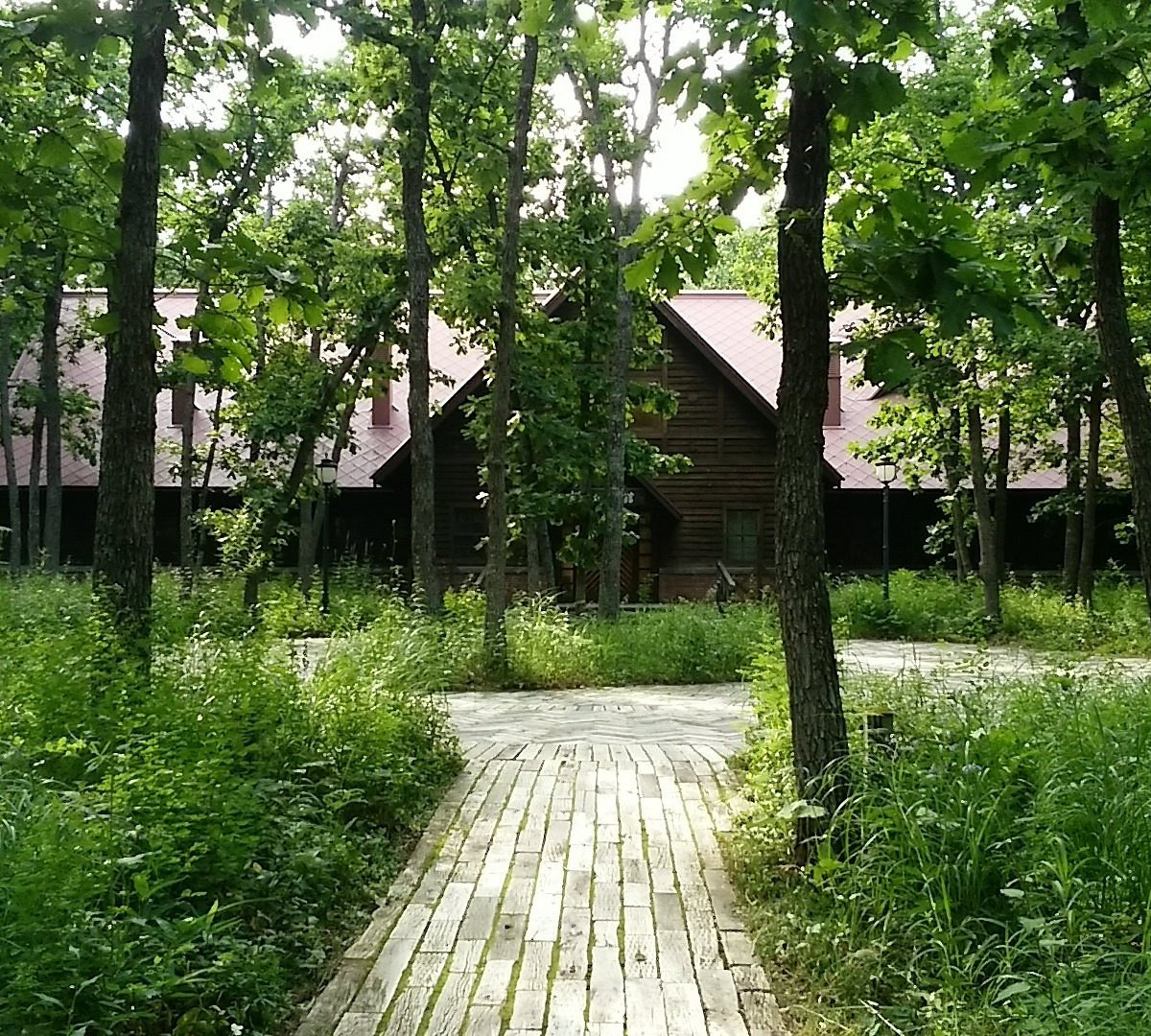 🎨 나카사츠나이 미술촌 이미지 8